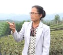 Nguyên Bá Ngọc